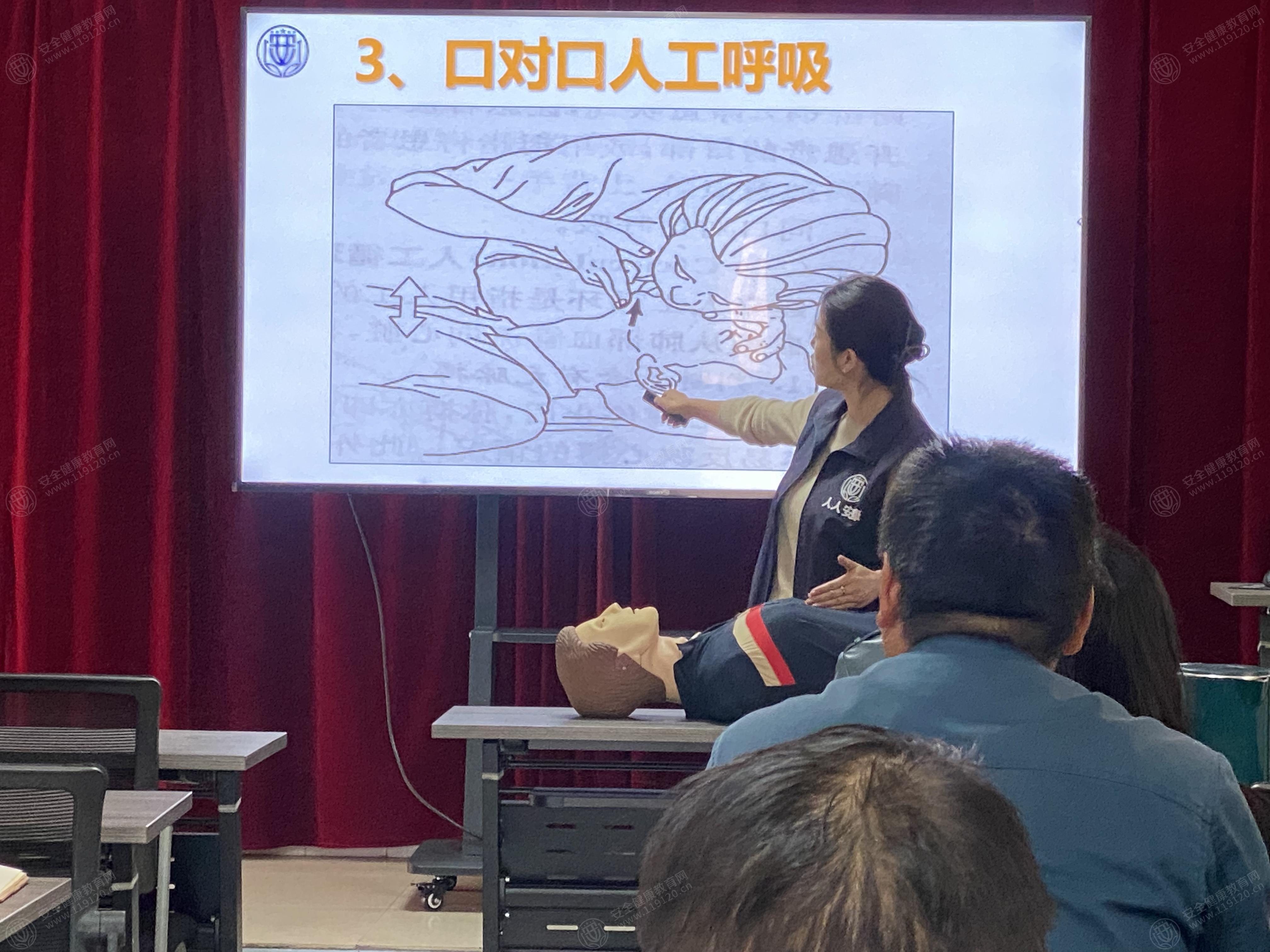 文中图片 文中图片