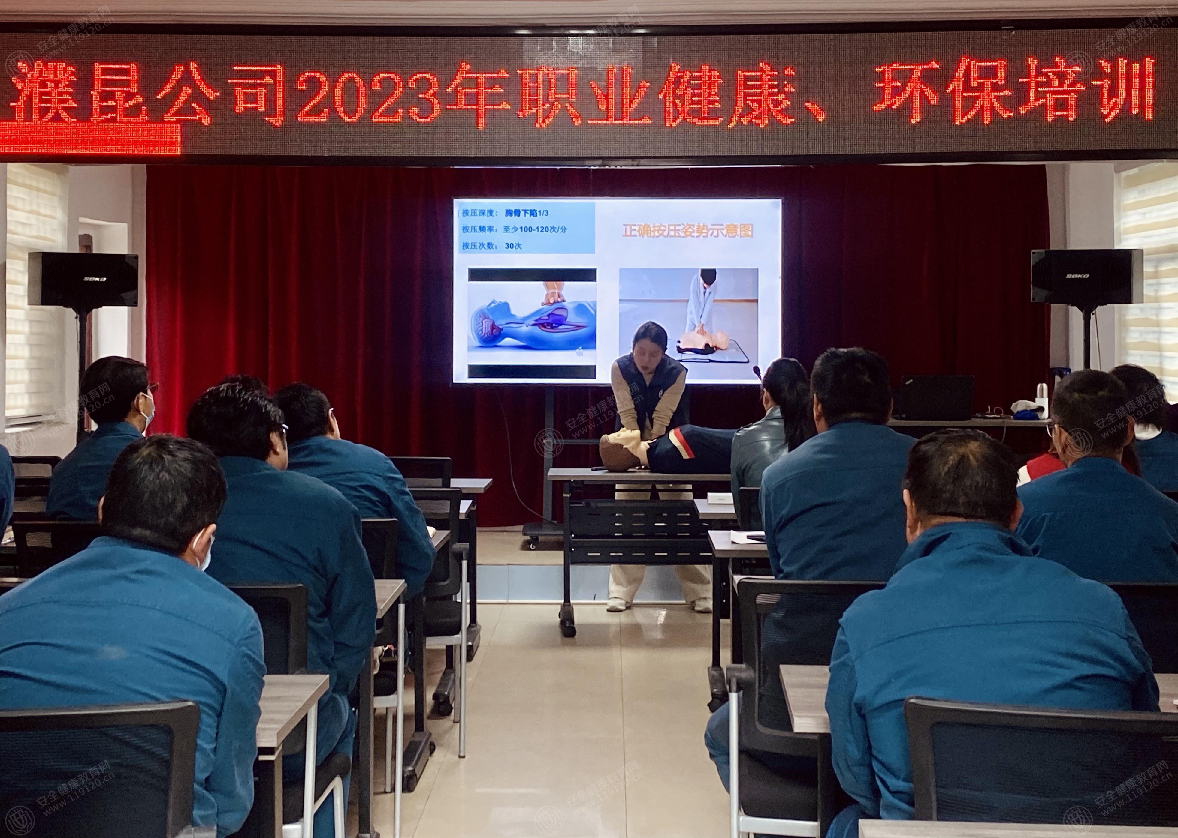 文中图片 文中图片