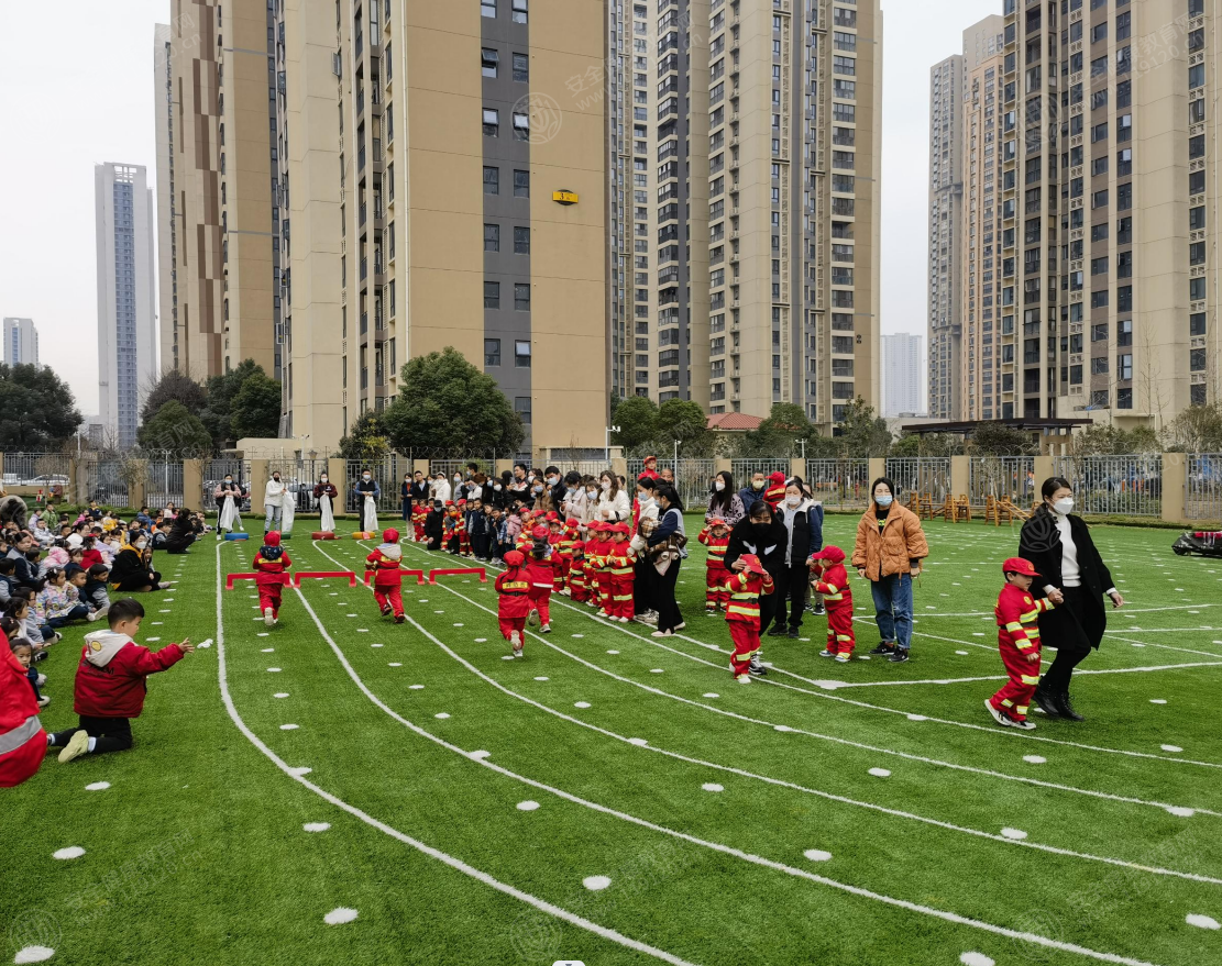 文中图片