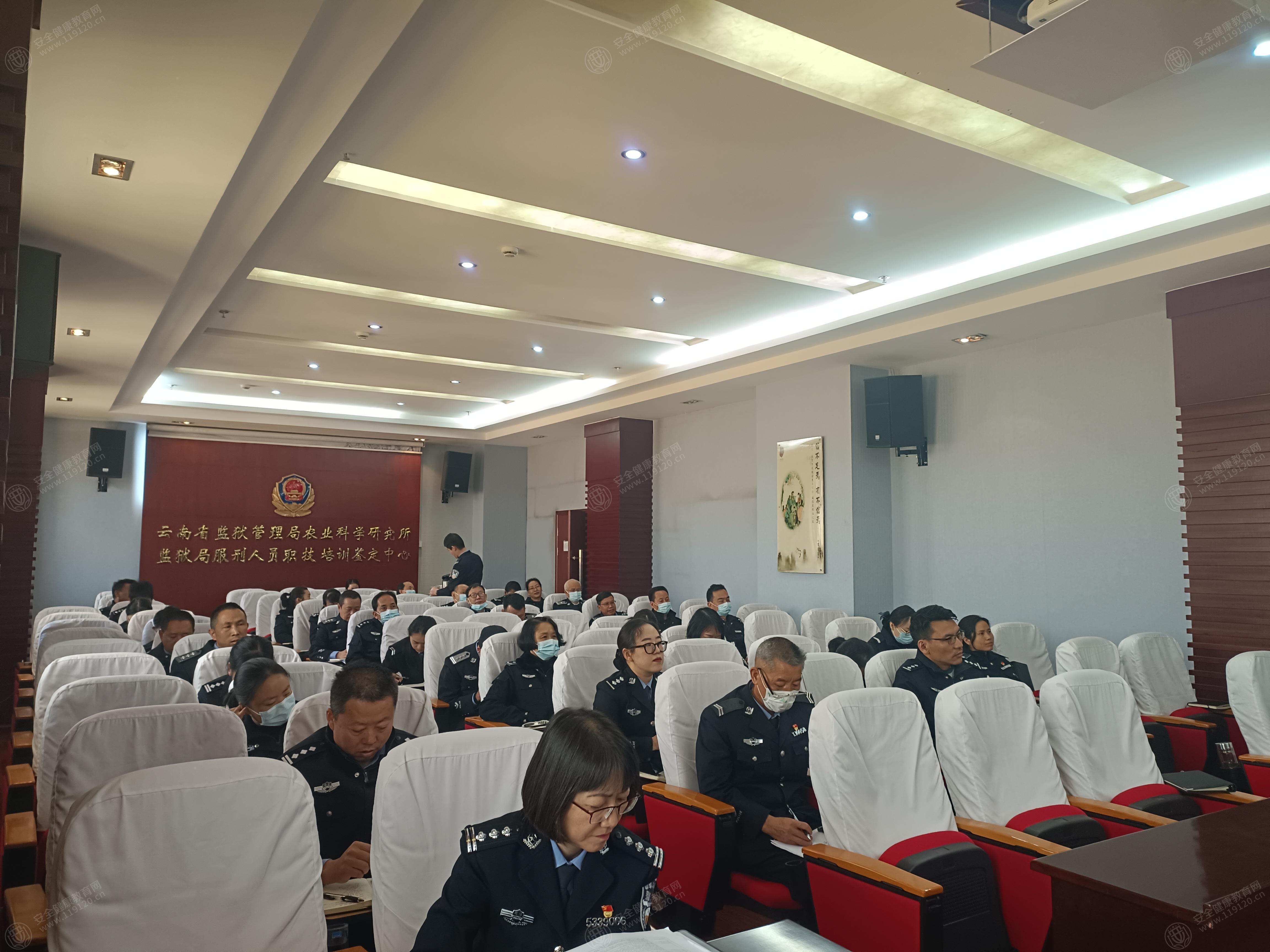 文中图片