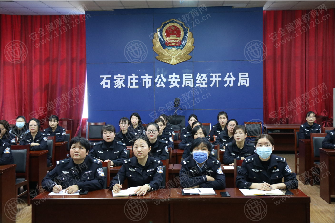 文中图片