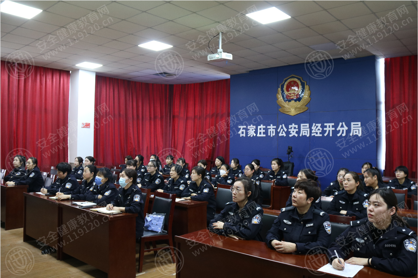 文中图片