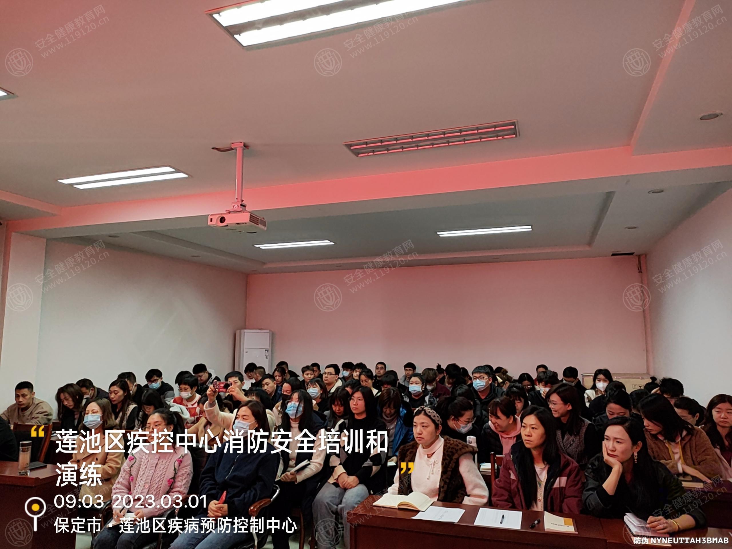 文中图片 文中图片
