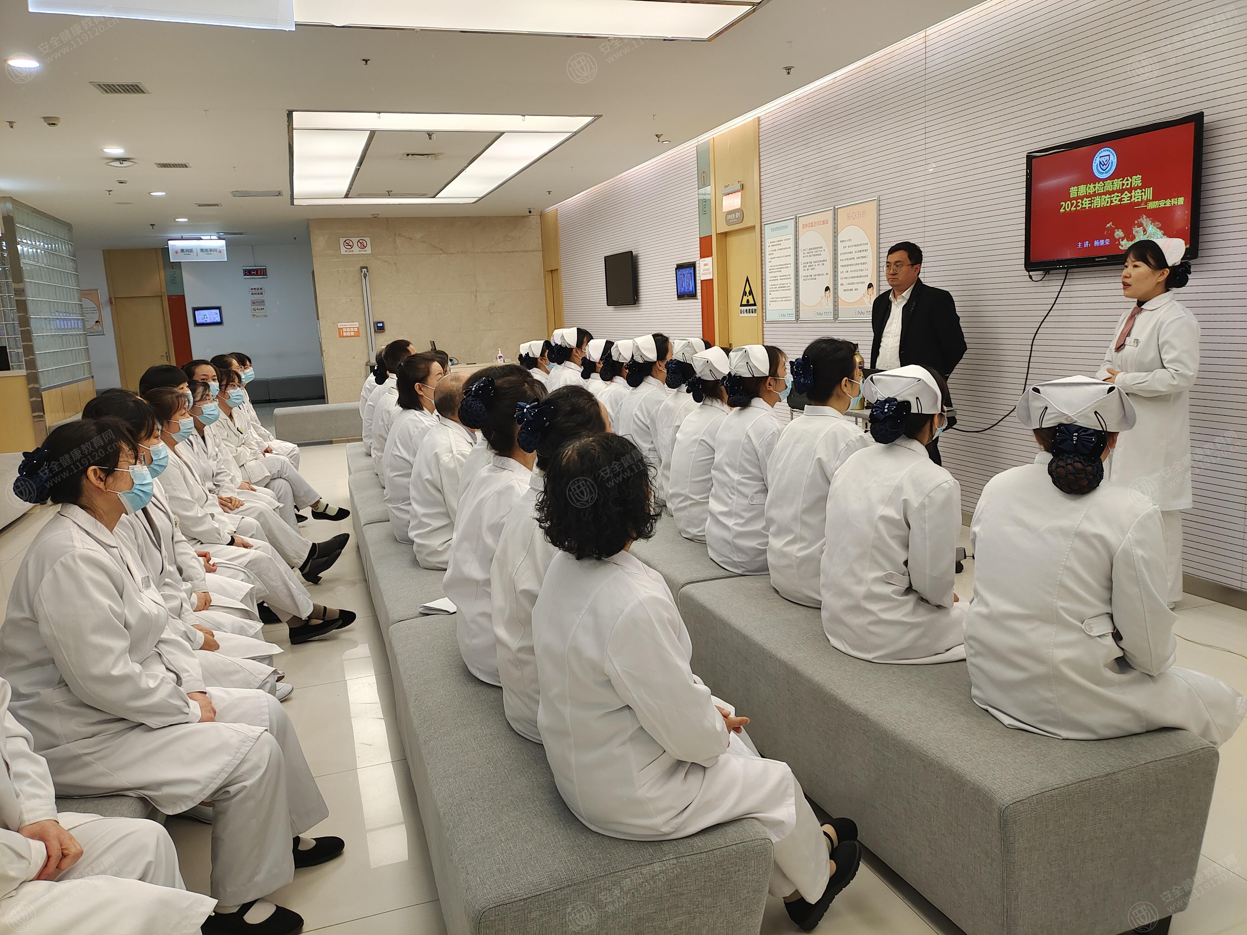 文中图片 文中图片