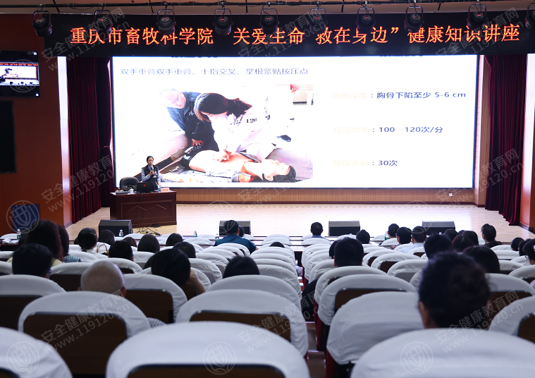 文中图片