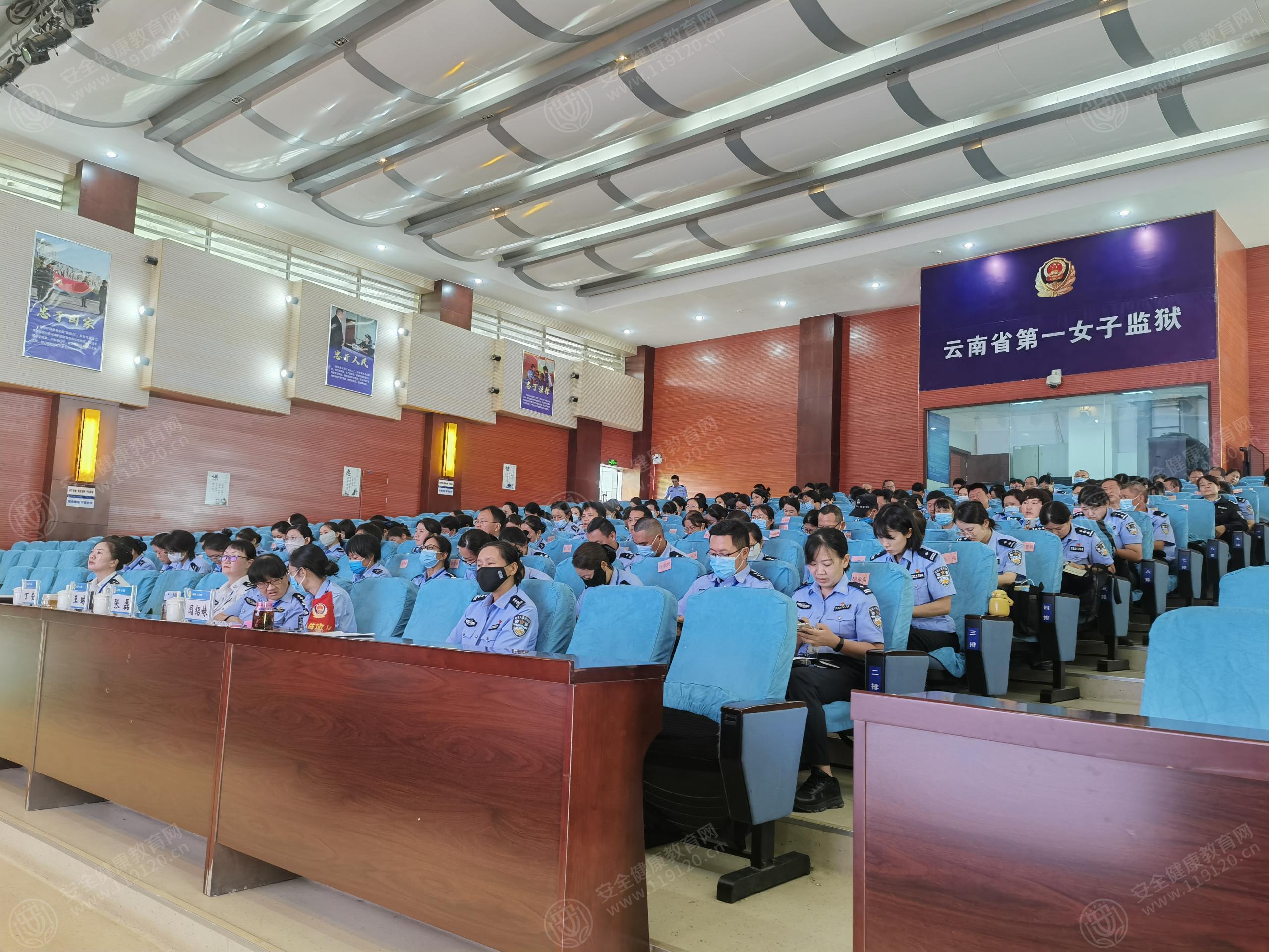 文中图片