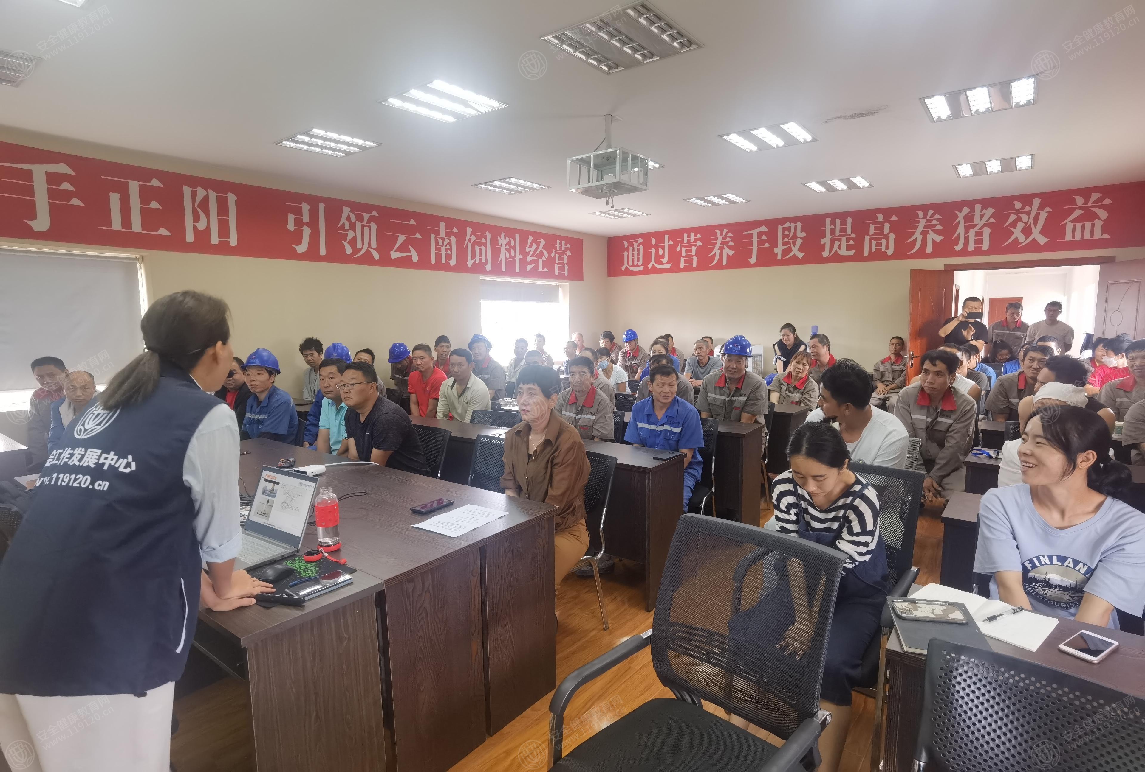 文中图片