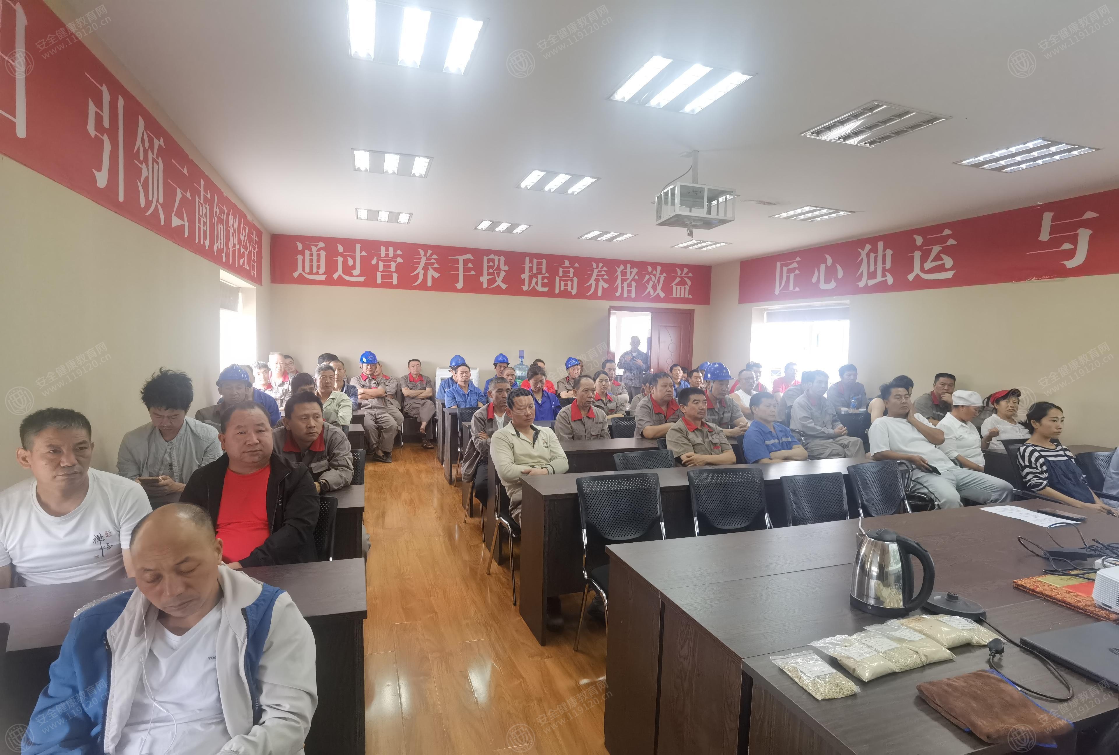 文中图片