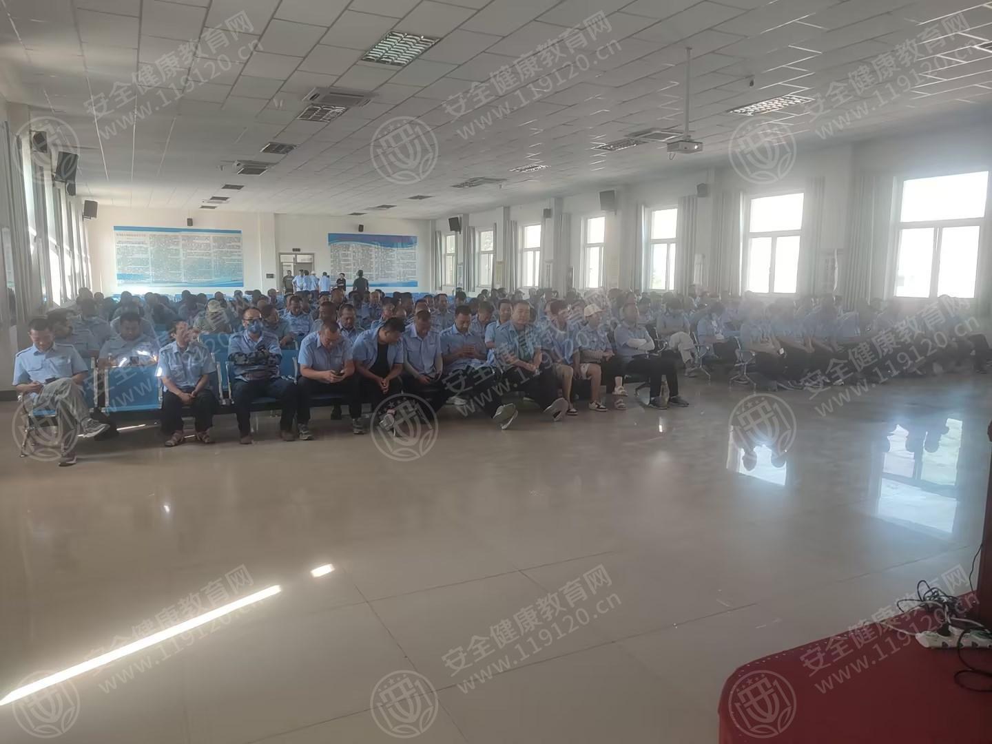 文中图片 文中图片