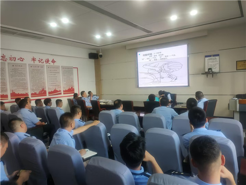 文中图片