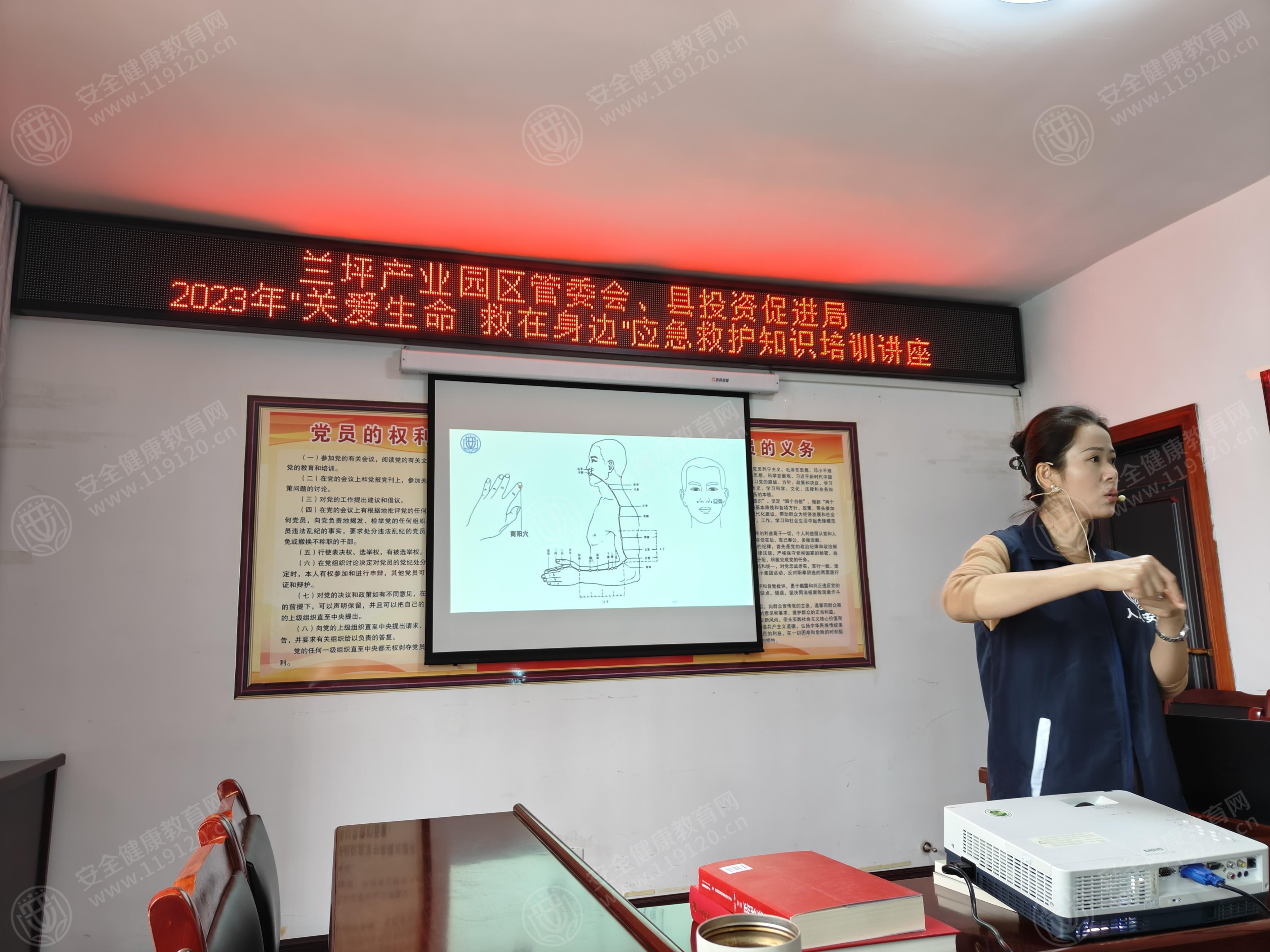 文中图片