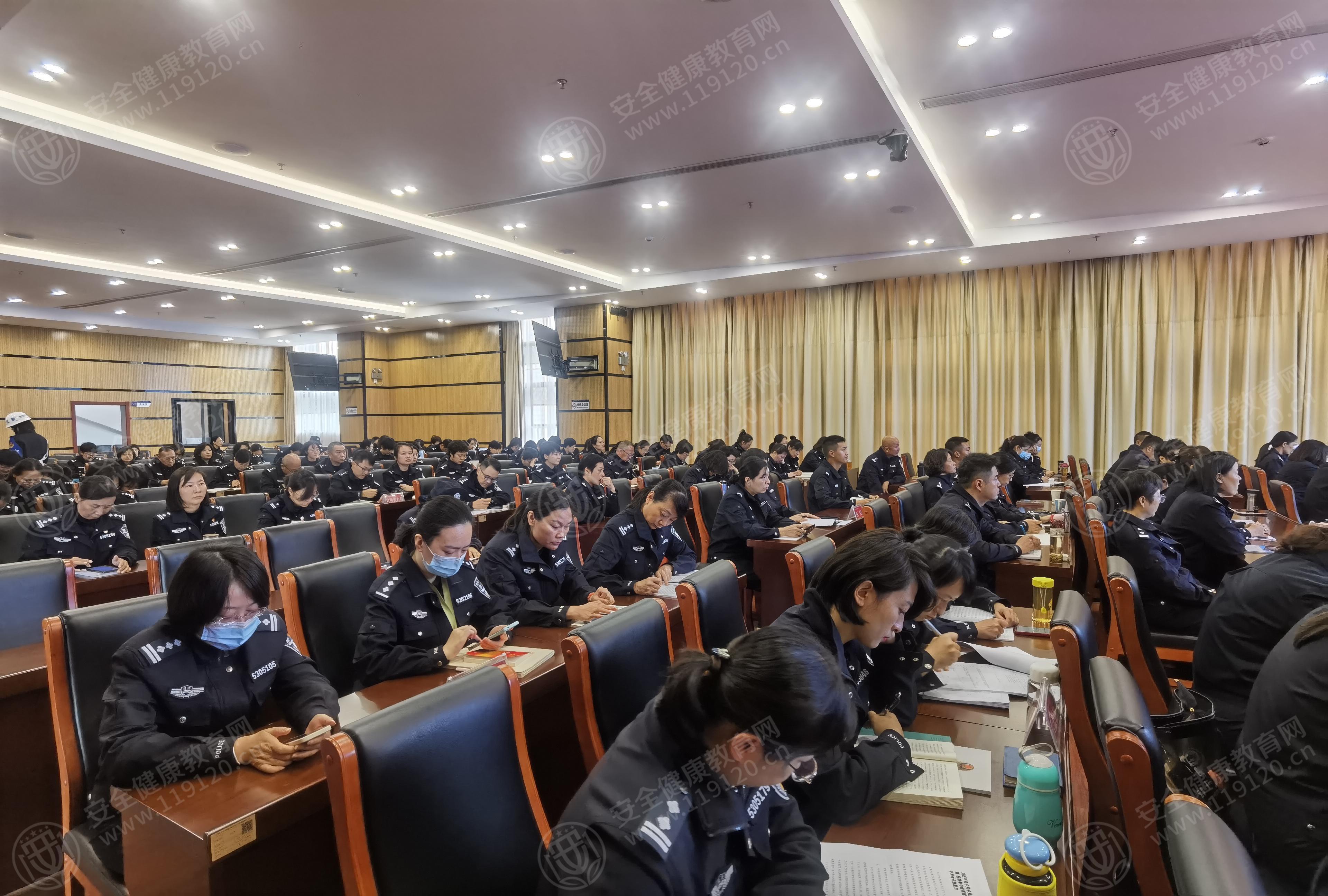 文中图片