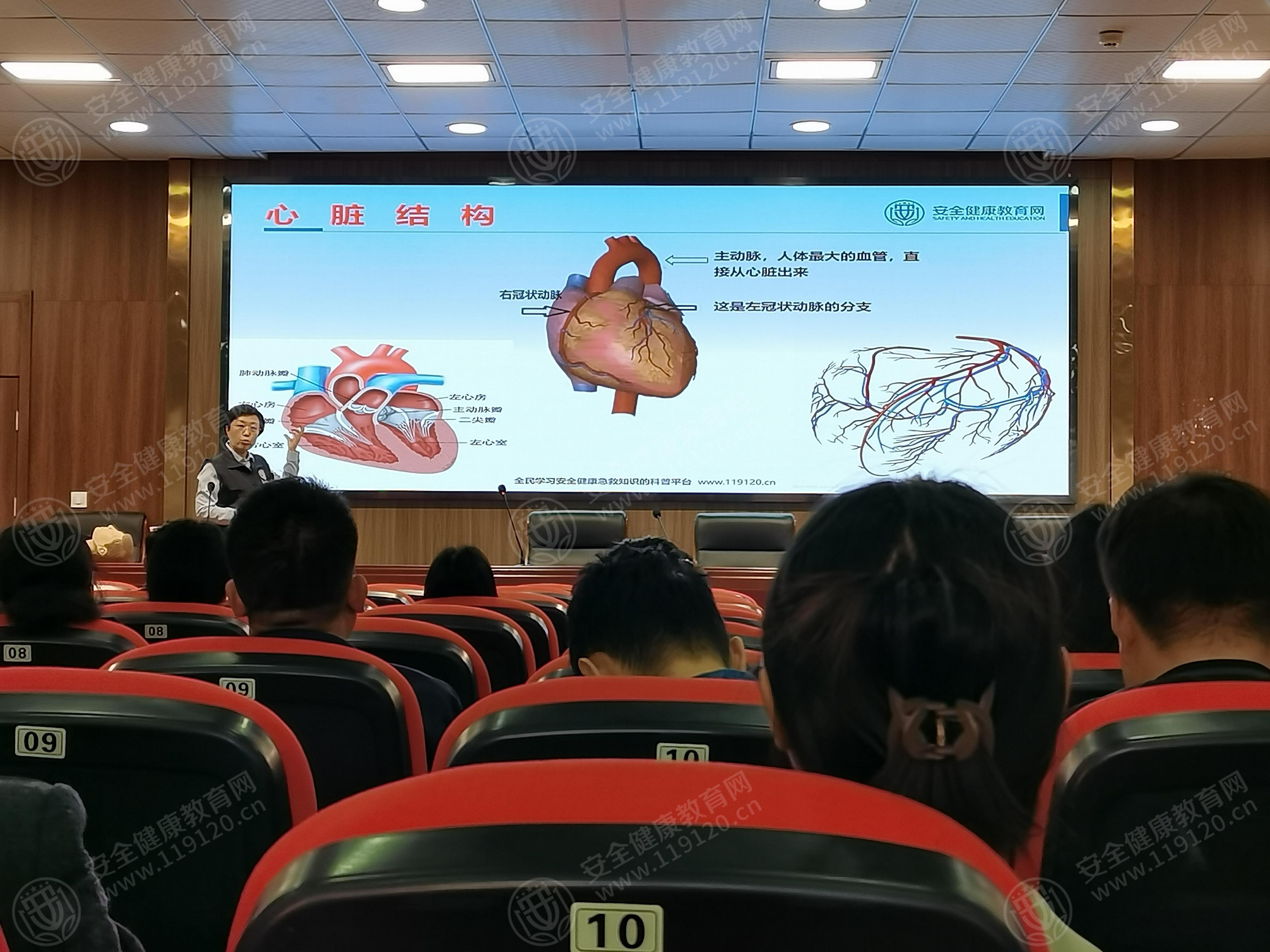 文中图片