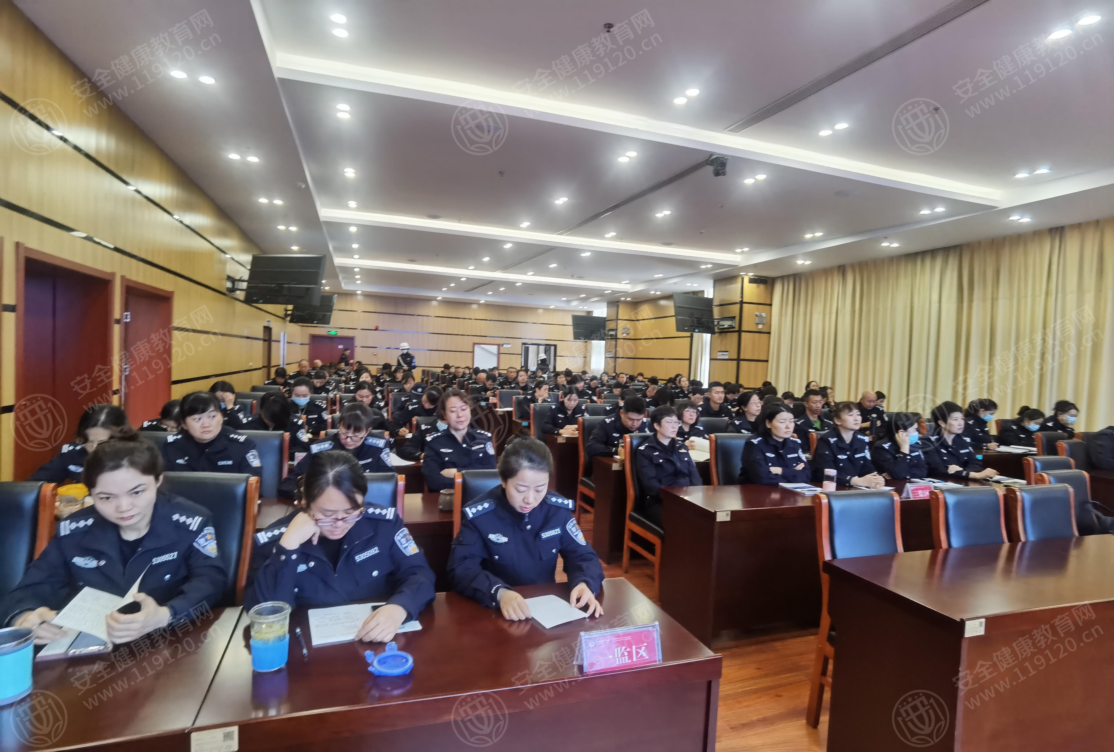 文中图片