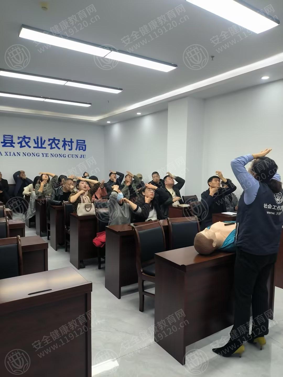 文中图片 文中图片
