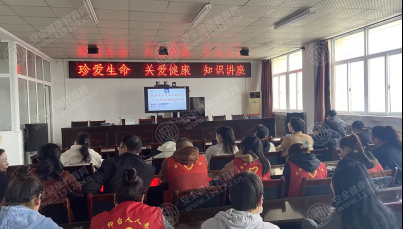 文中图片 文中图片