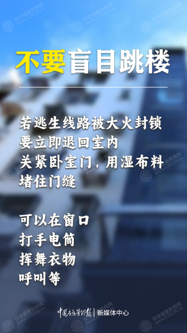 文中图片