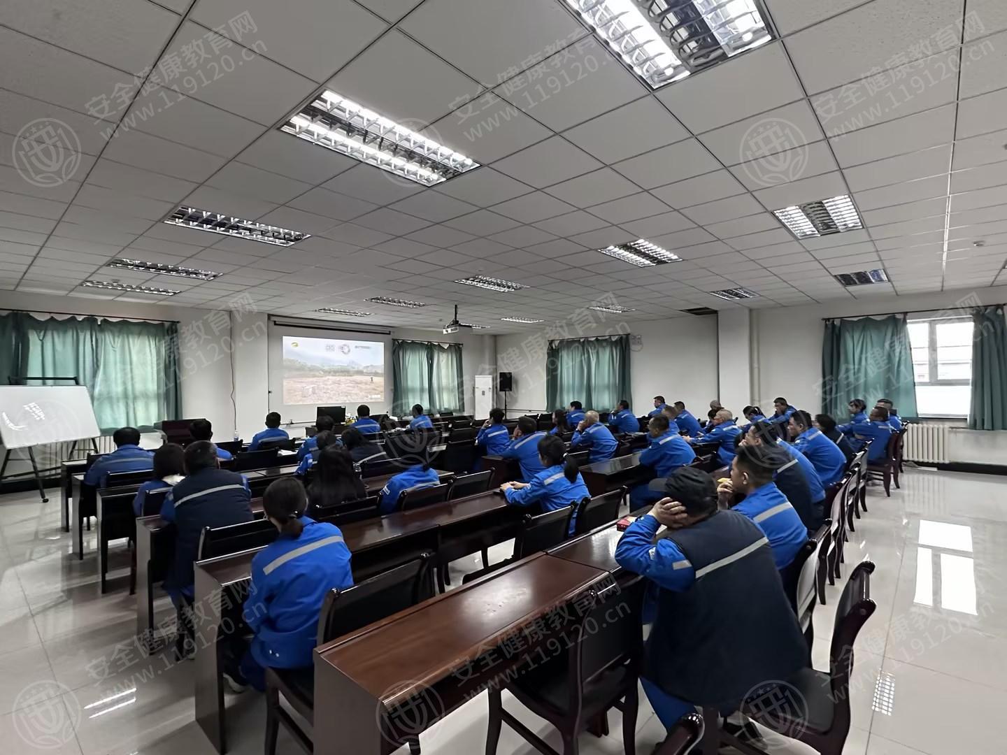 文中图片 文中图片