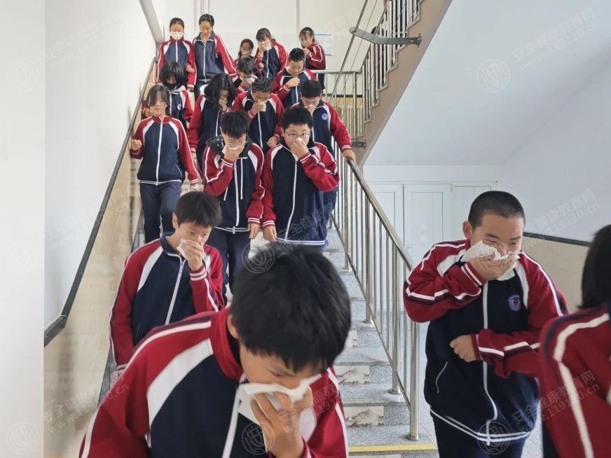 文中图片