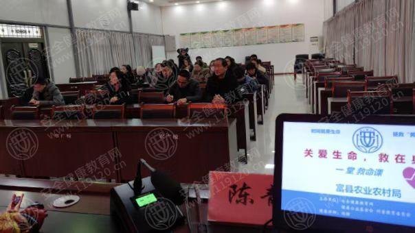 文中图片 文中图片