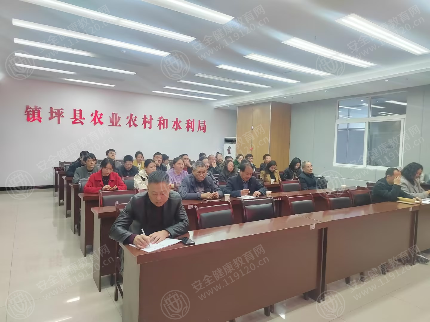 文中图片 文中图片