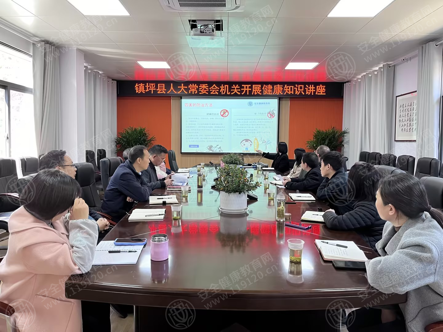 文中图片 文中图片