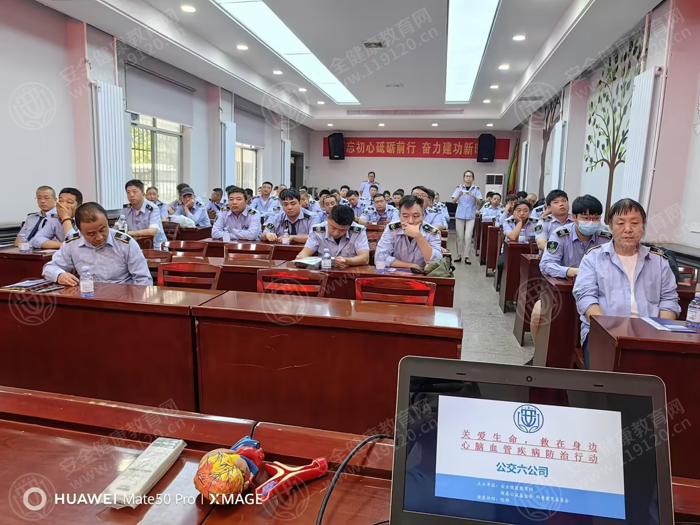 文中图片 文中图片