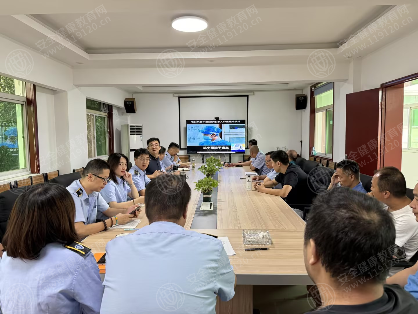 文中图片 文中图片