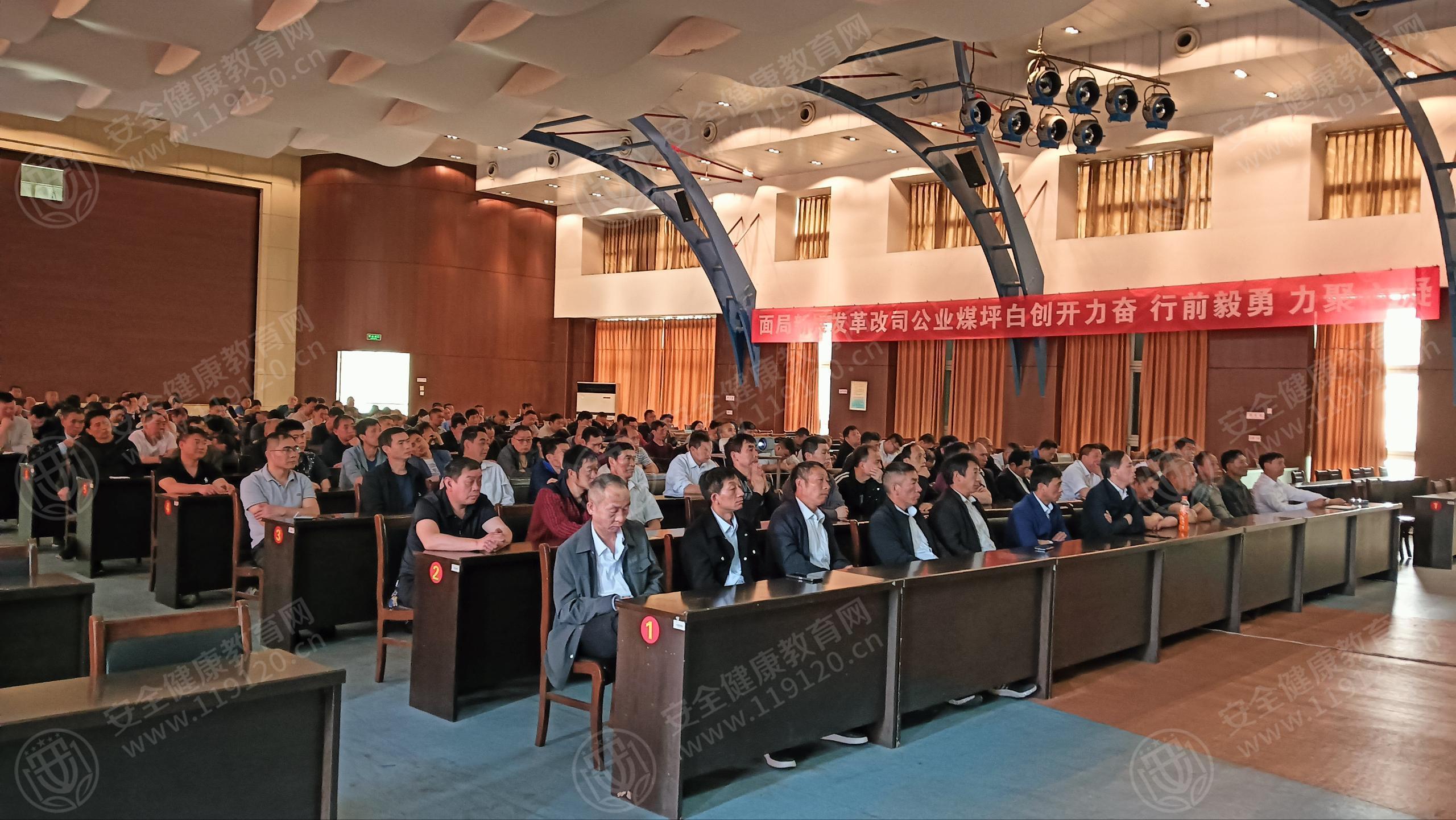 文中图片 文中图片