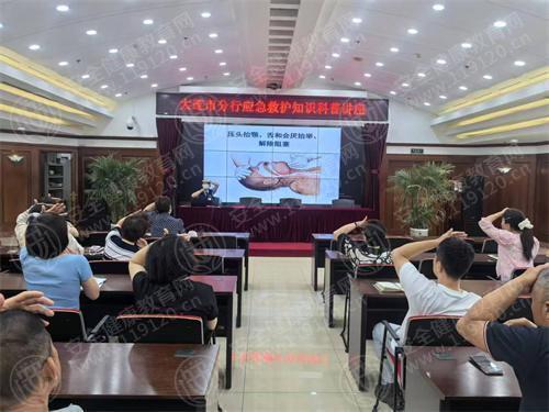 文中图片