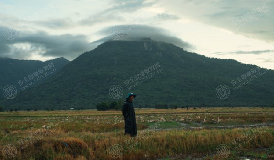文中圖片