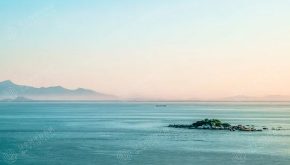 文中图片