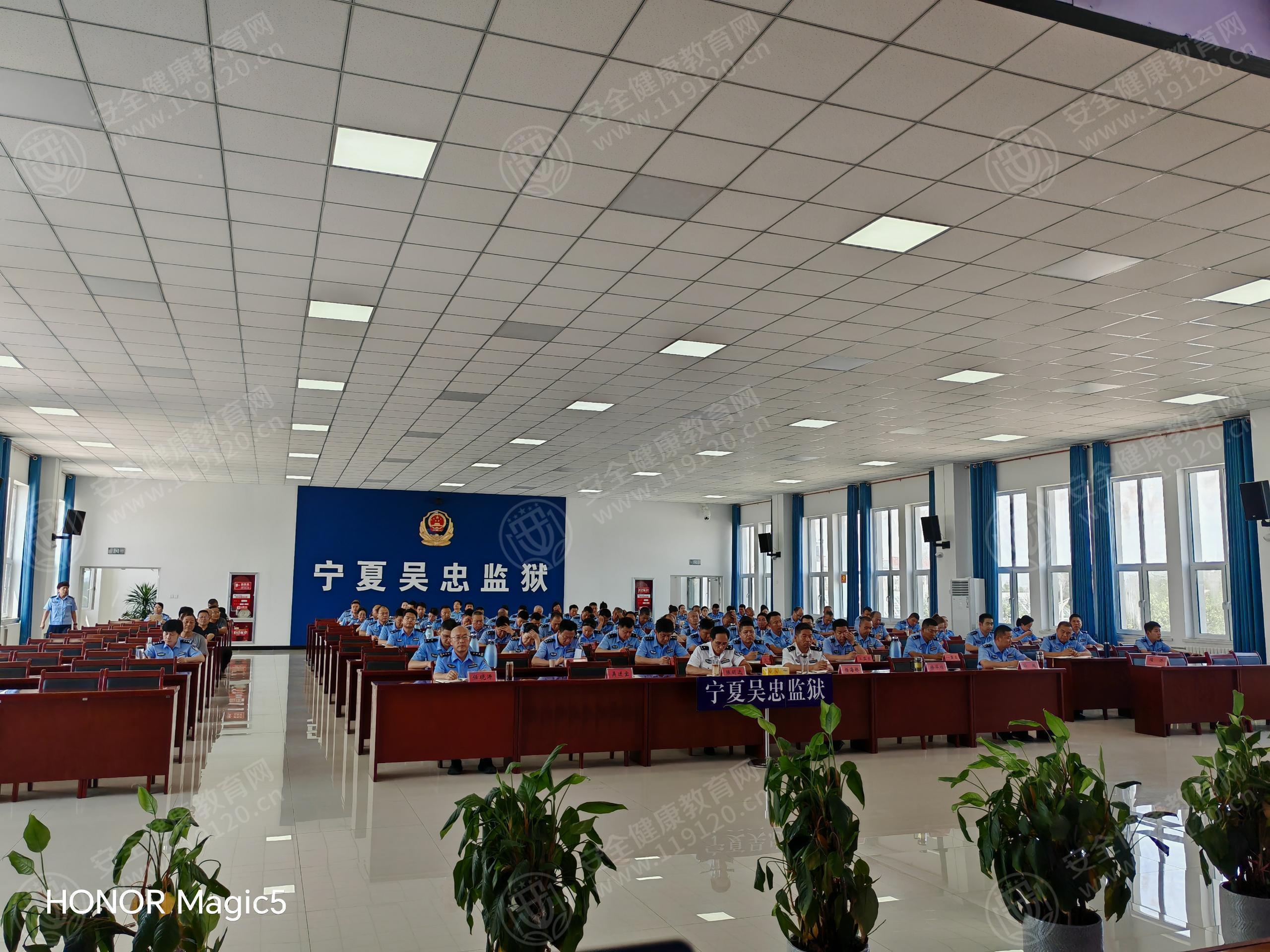 文中图片 文中图片