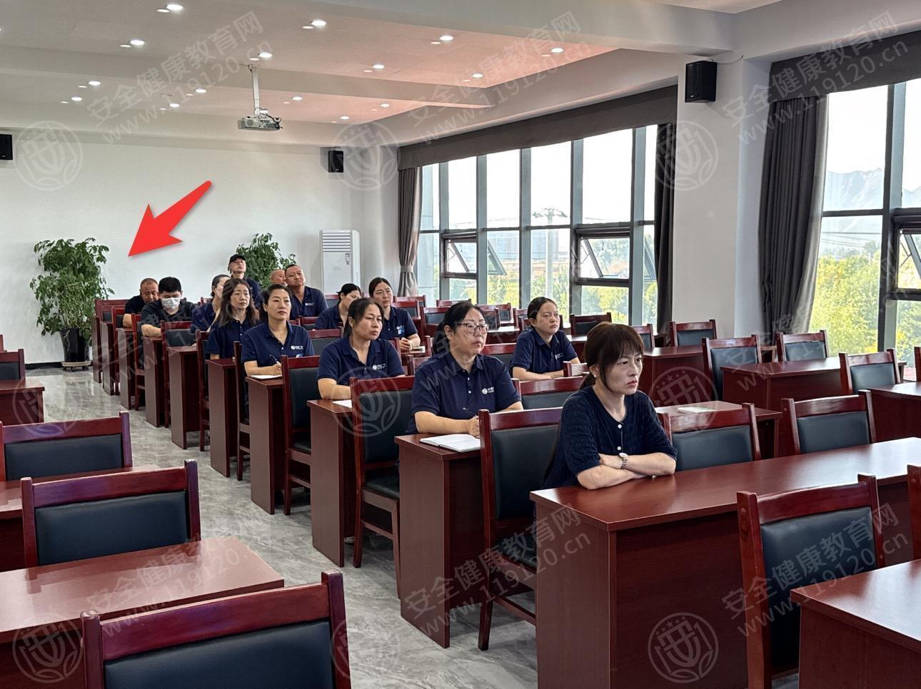 文中圖片